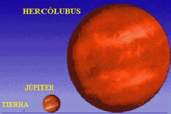 hercolobus_1