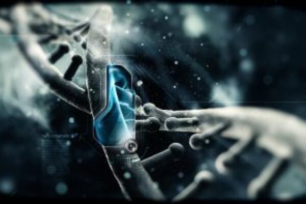 implantes