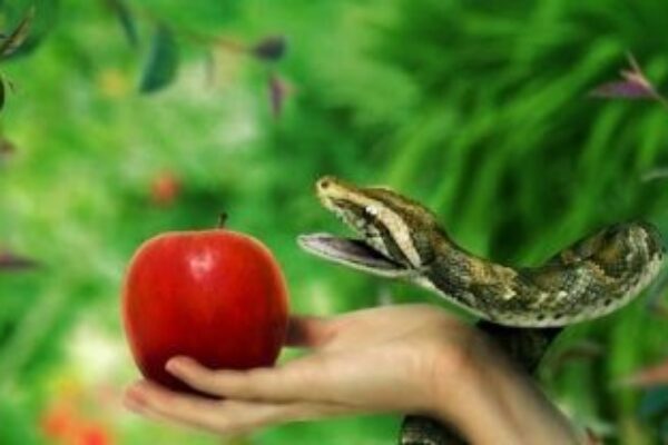 manzana-eva-serpiente-paraiso-1