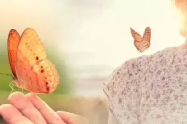 mariposas